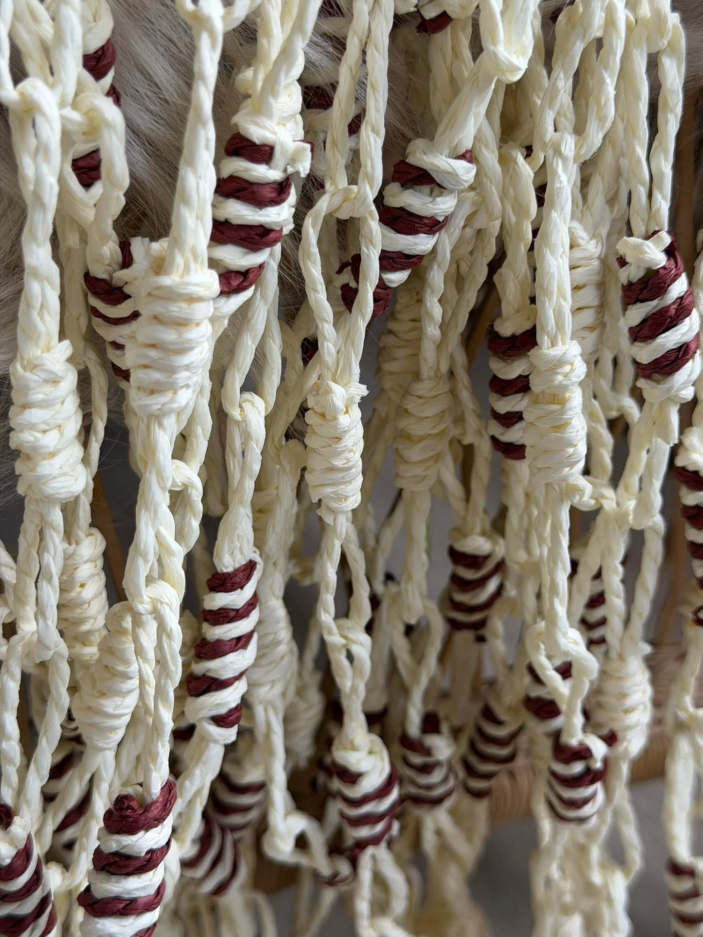 Produktbilde 5