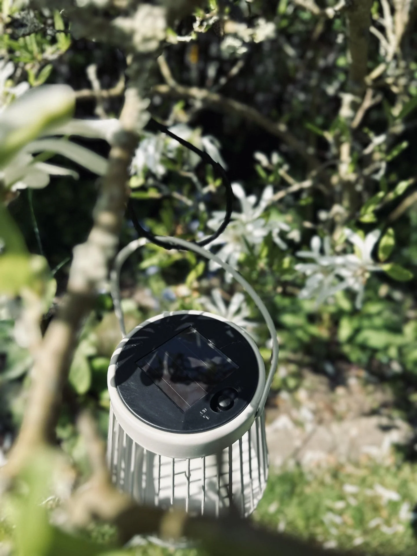 Produktbilde 5