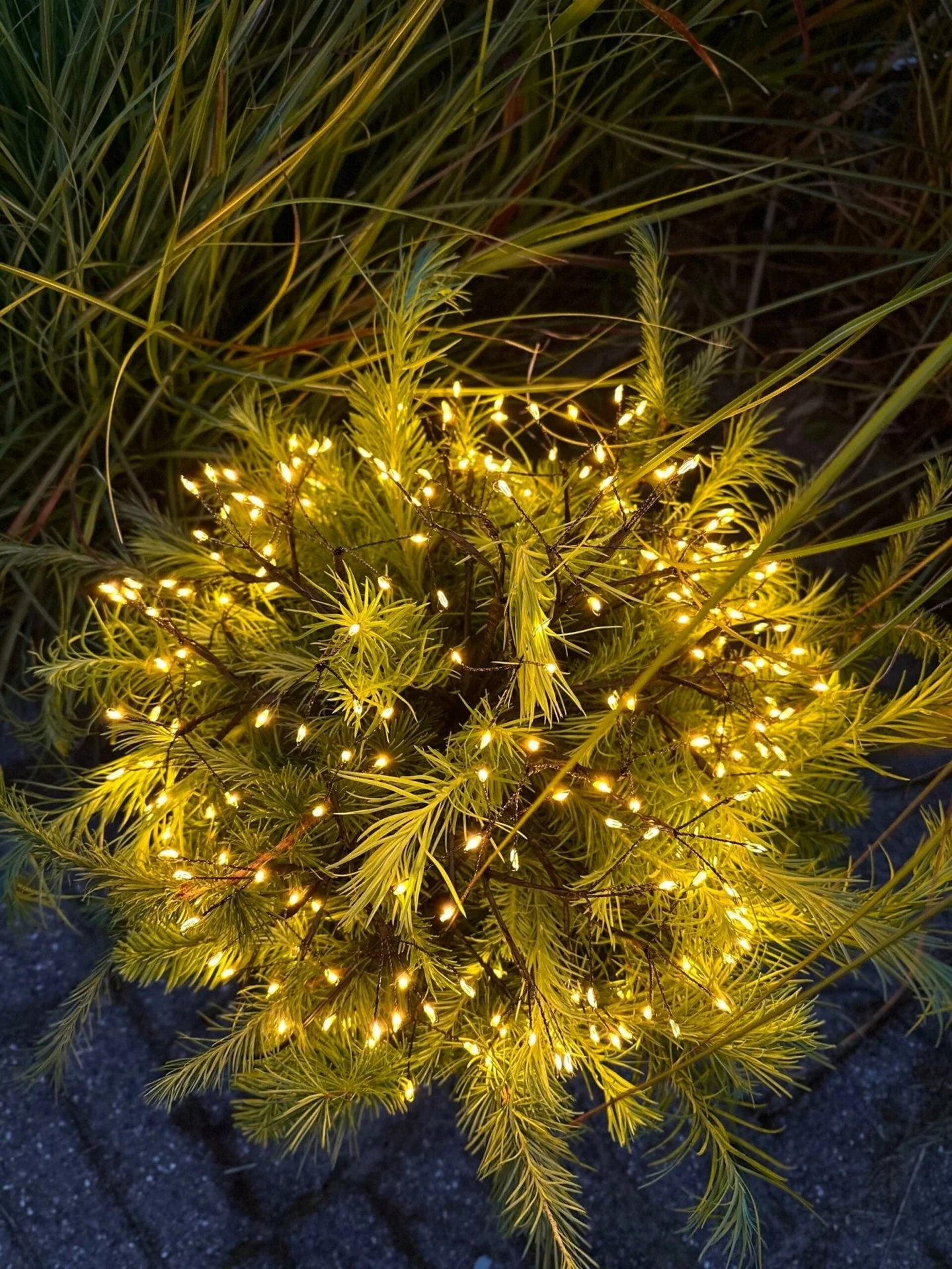 Produktbilde 9