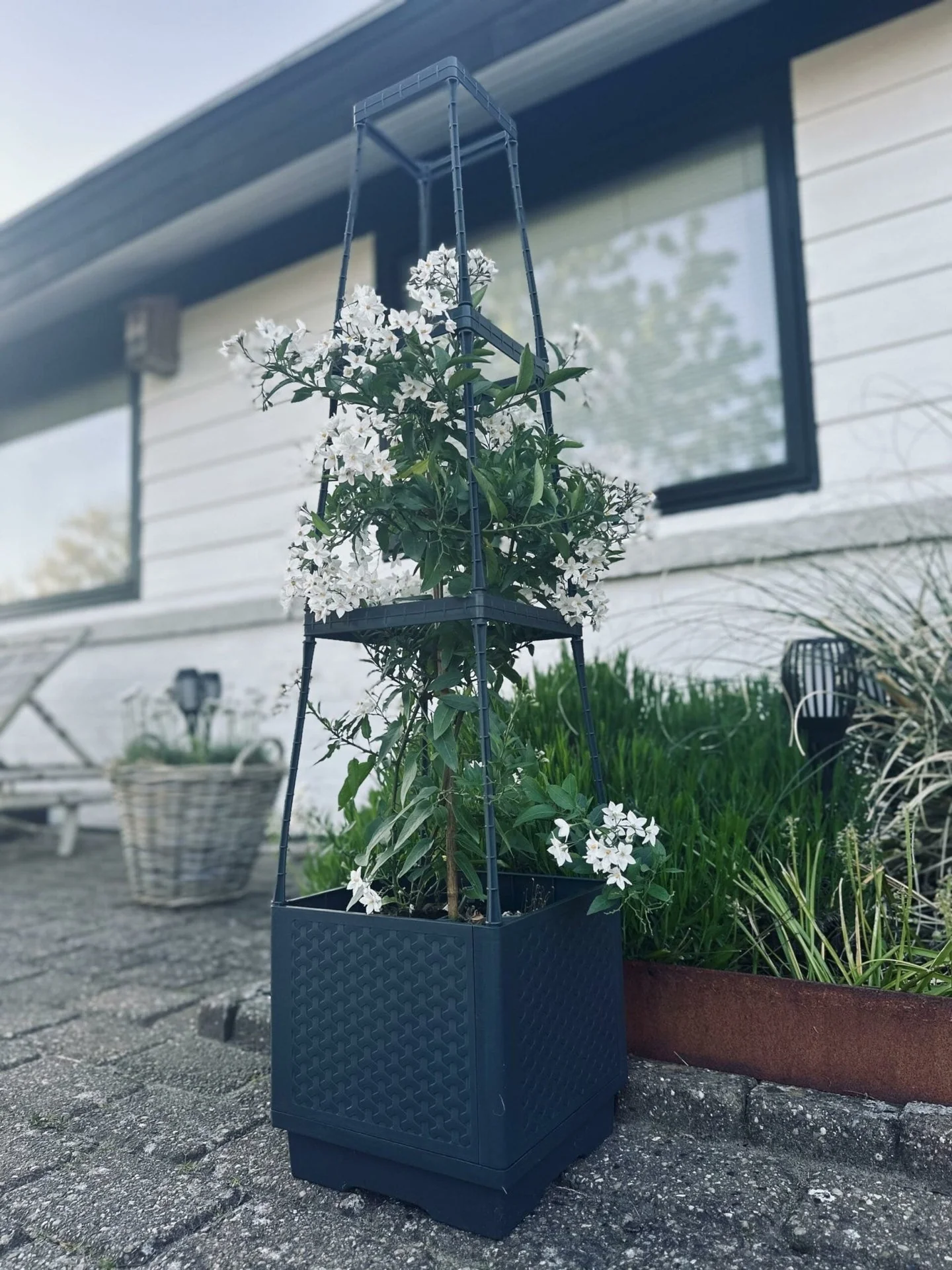 Produktbilde 1