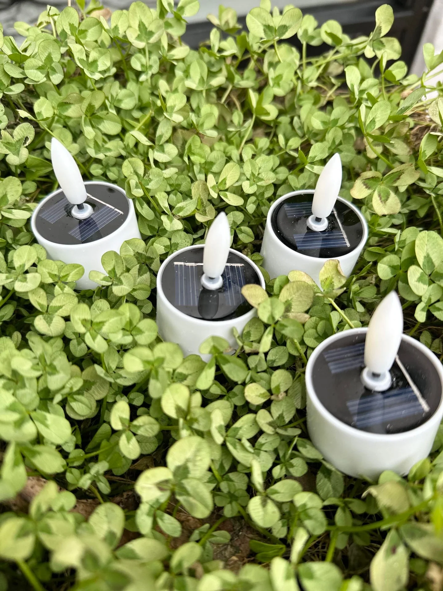 Produktbilde 5